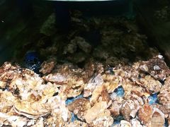 -小螺号海鲜·地道鲁菜(泉城广场店)