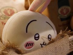 -NG PASTA吴居·中华意面·鲜牛排(南头古城店)