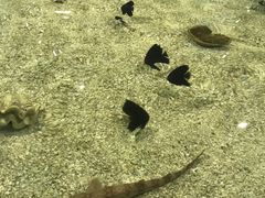 -台州海洋世界