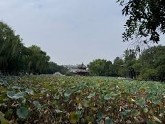 -莲池书院博物馆