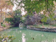 -上海醉白池公园