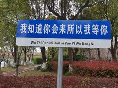 -高东镇樱花园
