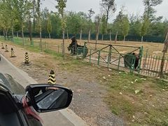 -秦皇岛野生动物园