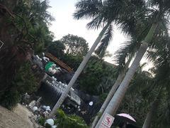 -100蛋泥浆浴