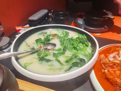 -羽鸽集·乳鸽专门店·地道顺德菜(岭南站店)