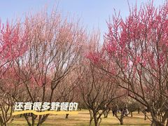 -蜀冈西峰生态公园