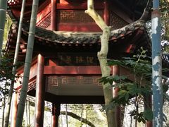 -杭州黄龙洞