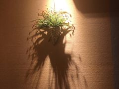 -猴满足影院足道SPA(金钟路店)