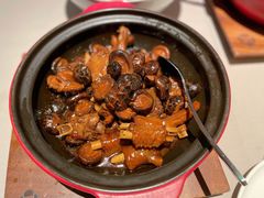 花菇煲狮头鹅掌翅煲-金海华·悦食东方(苏州中心商场店)