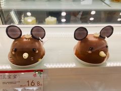 -蒲公英(五里店)