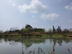 -桤木河湿地公园