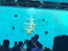-瑞德姆美人鱼海底演艺主题餐厅(亚龙湾店)