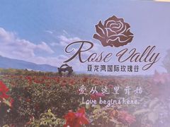 -亚龙湾国际玫瑰谷