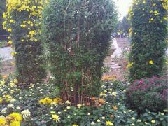iphone_upload_pic-迎泽公园