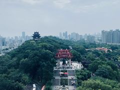 -黄鹤楼公园(黄鹤楼)