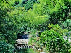 -宁波五龙潭景区