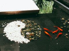 -五厨火锅(长城西一路店)