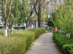 -南山公园