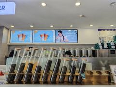 -雾与山茶(大禹城店)