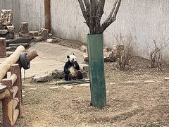 -沈阳森林动物园