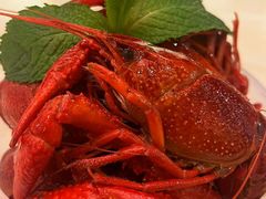 -杨氏青龙虾·羊蝎子(珠江路店)