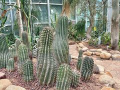 -郑州植物园
