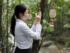 -九龙江国家森林公园