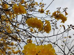 -中国移动南方基地