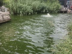 -碑林公园