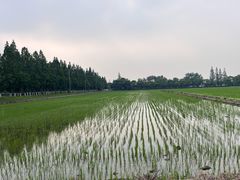 -嘉北郊野公园