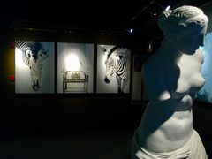 -剪刀石头布家居广场