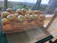 -兴芮温泉度假区