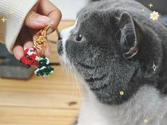 -不作·手工银饰DIY(西红门店)