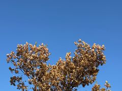 -九鼎铁刹山风景区