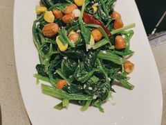 -蝎王府羊蝎子(西直门店)
