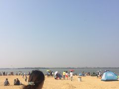 -瑶湖郊野森林公园