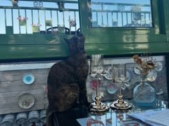 -EATALIA意塔利意式餐厅(鼓楼店)