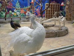 -海合安青岛极地海洋公园