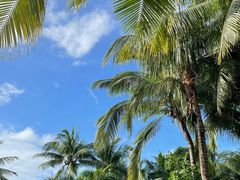 -三亚湾海居铂尔曼度假酒店