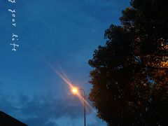 -浦江镇(地铁站)