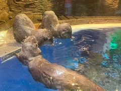 -成都浩海立方海洋公园