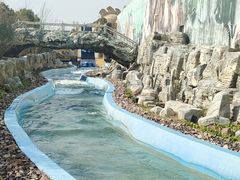-上海海昌海洋公园