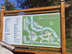 -黑瞎子岛探秘野熊园