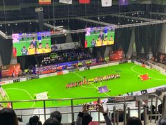 -成都金融城演艺中心