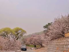 -崂山九水游览区