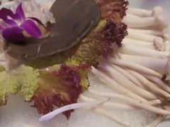 -南门四季铜锅涮肉(大屯·北苑店)