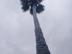 -维乐口腔医院(星海湾分院)