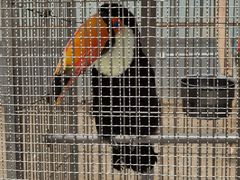 -南宫五洲植物乐园