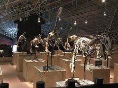 -世界恐龙谷景区