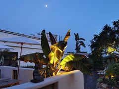 -悦哉·派对·草坪婚礼·围炉煮茶(三圣乡店)